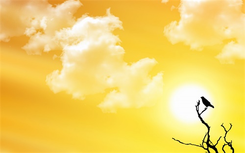 怎么把icloud里面的，所有內容和設置全部刪除？